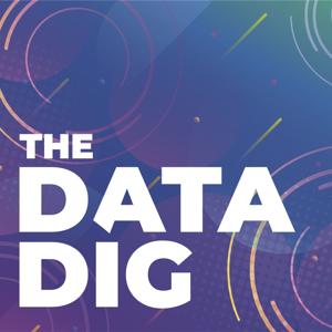 The Data Dig