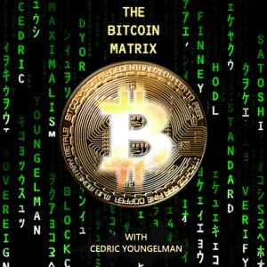 The Bitcoin Matrix by Cedric Youngelman