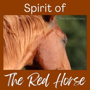 Spirit Of The Red Horse