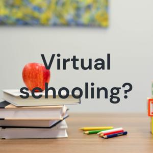 Virtual schooling?