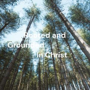Rooted and Grounded                              In Christ