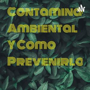 Contaminación Ambiental Y Como Prevenirlo 