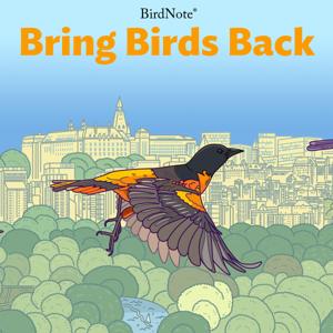 Bring Birds Back by BirdNote