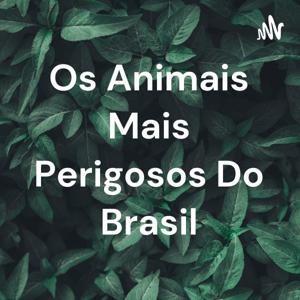 Os Animais Mais Perigosos Do Brasil