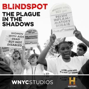 Blindspot by The HISTORY® Channel and WNYC Studios