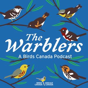 The Warblers by Birds Canada by Andrea Gress for Birds Canada