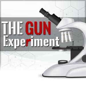 The Gun Experiment by thegunexperiment