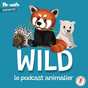 Wild, le podcast animalier by ambre Gaudet