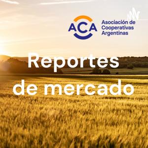 REPORTES DE MERCADO
