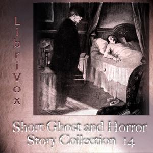 Short Ghost and Horror Collection 014 by Various