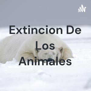 Extincion De Los Animales