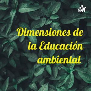 Dimensiones de la Educación ambiental