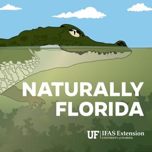 Naturally Florida by Shannon Carnevale and Lara Milligan