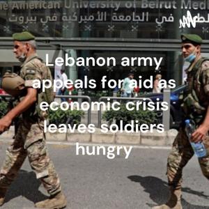 Lebanon army appeals for aid as economic crisis leaves soldiers hungry
