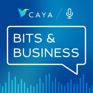 Bits & Business - der Digitalisierungspodcast für KMU