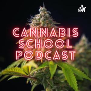 Cannabis School by Flow Media
