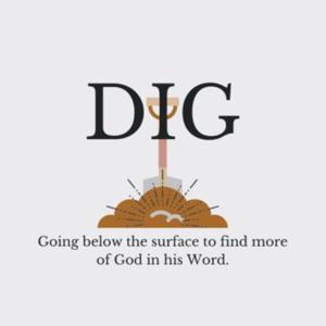 Dig with Alli Patterson