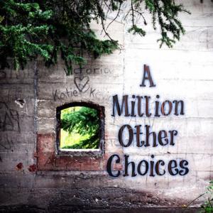 A Million Other Choices by Kim Toller