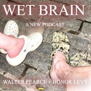 Wet Brain by Walter Pearce and Honor Levy