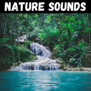 Nature Sounds for Sleep, Meditation, & Relaxation by Sol Good Media