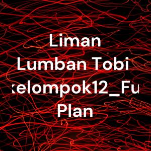 Liman Lumban Tobing_kelompok12_Future Plan