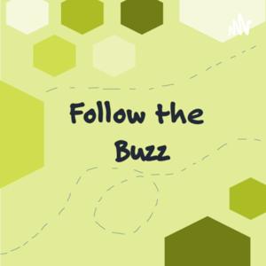 Follow the Buzz