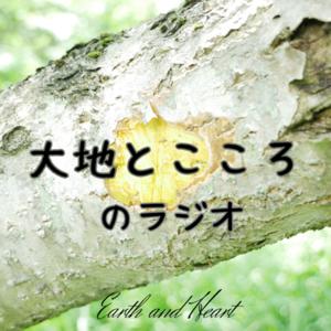 大地とこころのラジオ by Yuto Matoba