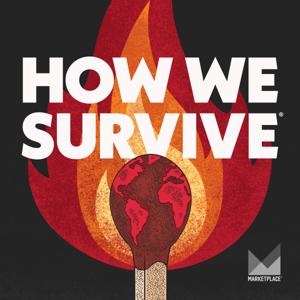 How We Survive by Marketplace