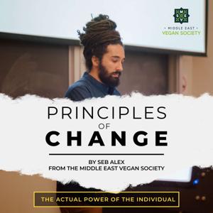 Principles of Change With Seb Alex