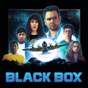 Black Box by Reverb