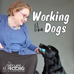 Working Like Dogs - Service Dogs and Working Dogs  - Pets & Animals on Pet Life Radio (PetLifeRadio.com)