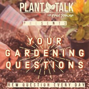 Your Gardening Questions by NABCo Media
