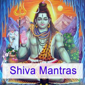 Shiva Mantras by Sukadev Bretz - Joy and Peace through Kirtan