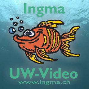 Ingma UW-Video Podcast