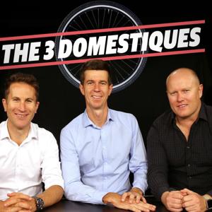 The 3 Domestiques
