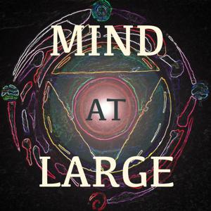 Mind at Large Podcast
