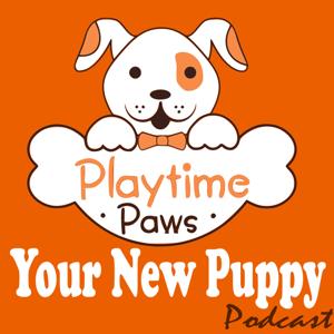 Your New Puppy: Dog Training and Dog Behavior Lessons to Help You Turn Your New Puppy into a Well-Behaved Dog by Debbie Cilento: Dog Trainer | Dog Behavior Consultant | Owner of Playtime Paws | Belly Rub Specialist