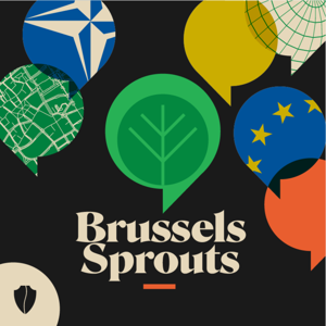 Brussels Sprouts by Center for a New American Security | CNAS