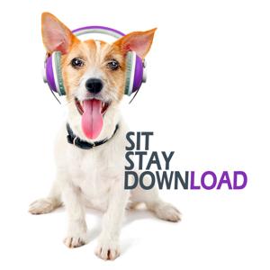 Sit Stay Download