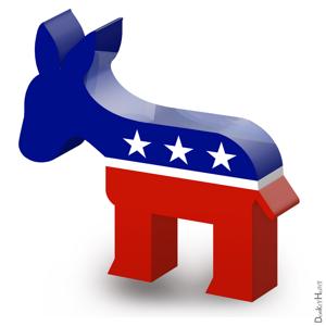 Democratic Campaigns