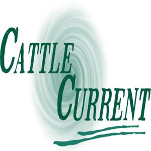 Cattle Current Market Update with Wes Ishmael by Wes Ishmael: cattle business analyst and journalist