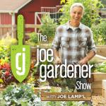 The joe gardener Show - Organic Gardening - Vegetable Gardening - Expert Garden Advice From Joe Lamp'l by Joe Lamp'l