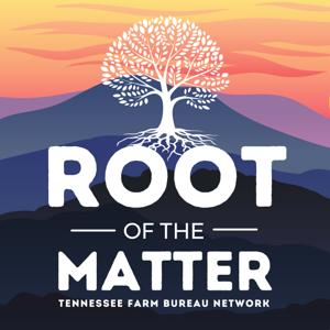 Root of the Matter