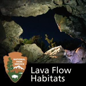 Lava Flow Habitats: The Wildlife and Geology of Craters of the Moon National Park 2
