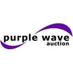 Purple Wave's Auction Podcast
