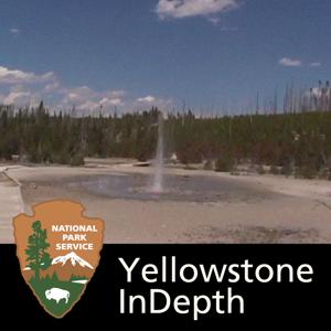 Yellowstone In Depth by 