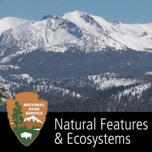 Natural Features & Ecosystems by 
