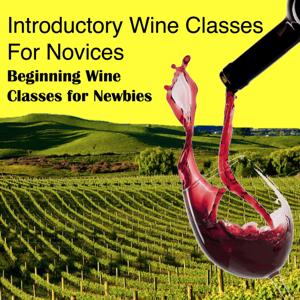 Introductory Wine Classes for Novices by Mark