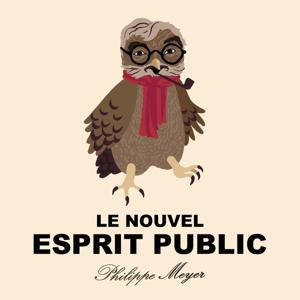 Le Nouvel Esprit Public by Philippe Meyer