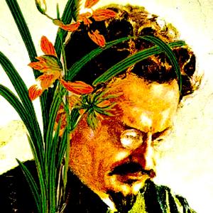Trotsky & the Wild Orchids